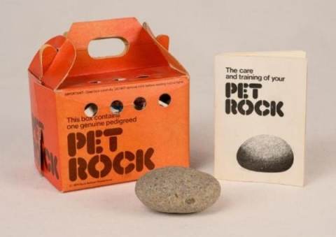 10-pet_rock_collectible_2014.117.3_sohs_toys_3335.jpg