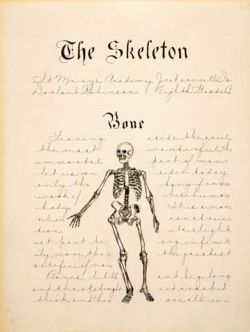 26-dorland_robinson_school_exercize_human_skeleton_sohs_ms_312_8_0.jpg