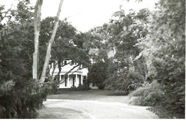 site_331.jpg