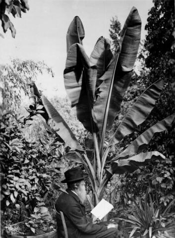 sohs_01641_peter_britt_and_banana_tree.jpg